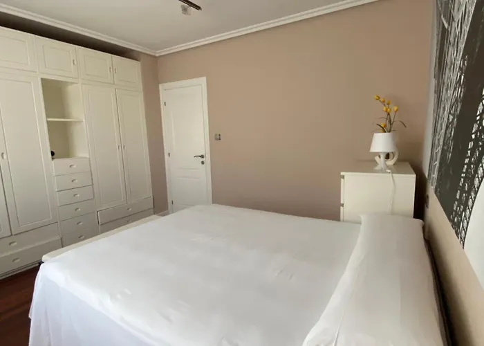 Con Piscina Privada Santander